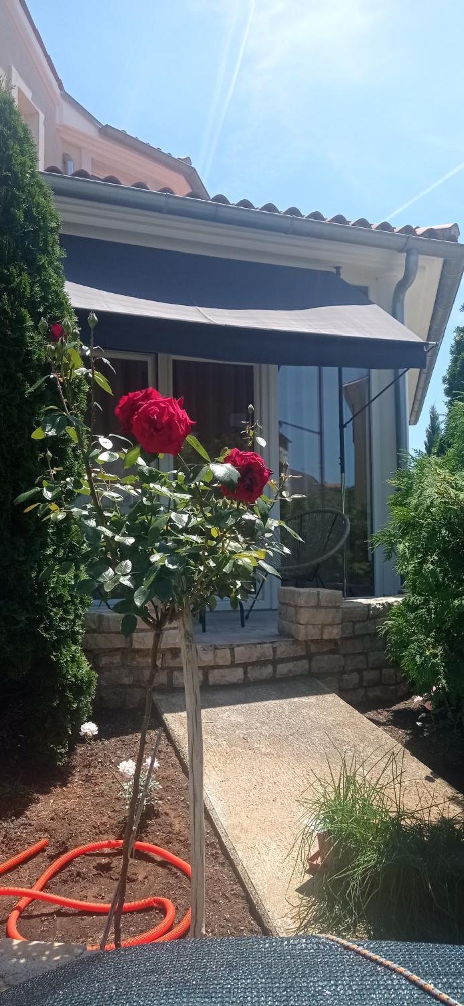 Villa Gregovica &T 2 Pula Dış mekan fotoğraf